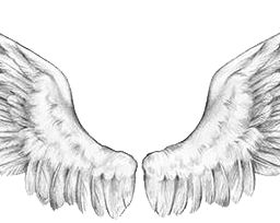 wings angelwings freetoedit ftewings