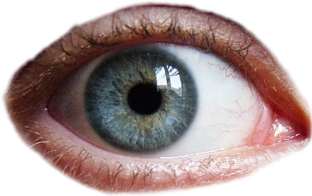 eye humaneye blueeye - Sticker by ZiM