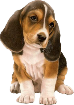 Best Cat Food Brands >> Popular and Trending cutedog Stickers on PicsArt Best Cat Food Brands >> Popular and Trending cutedog Stickers on PicsArt