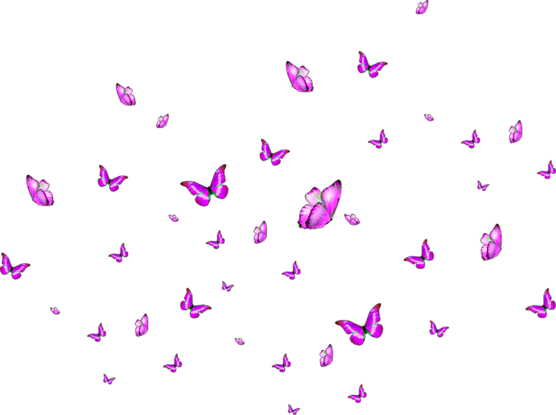Фон бабочки png. Стая бабочек на прозрачном фоне. Маленькие бабочки на прозрачном фоне. Россыпь бабочек на прозрачном фоне. Много бабочек без фона.