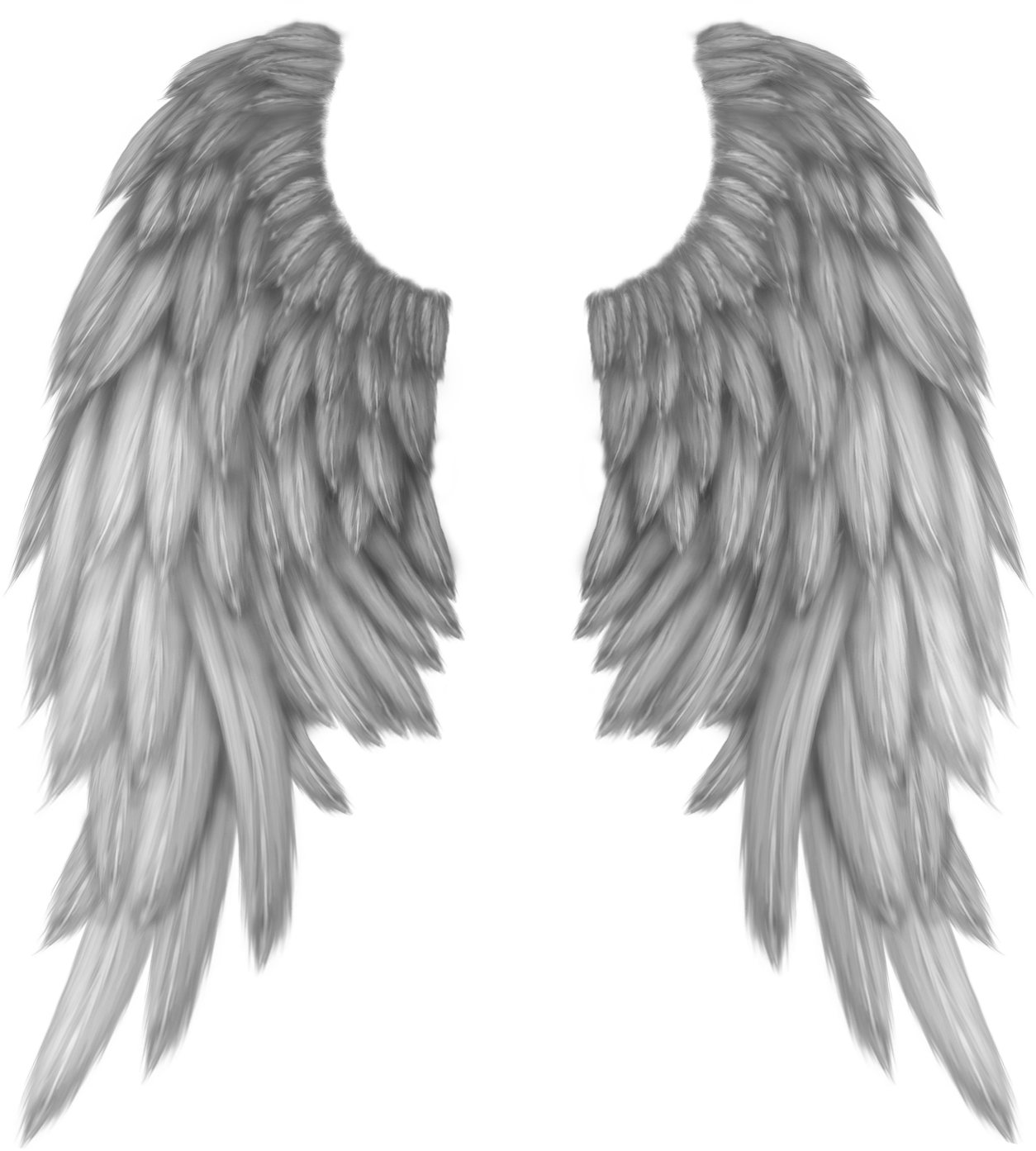 wings freetoedit #wings #freetoedit sticker by @janiceag.