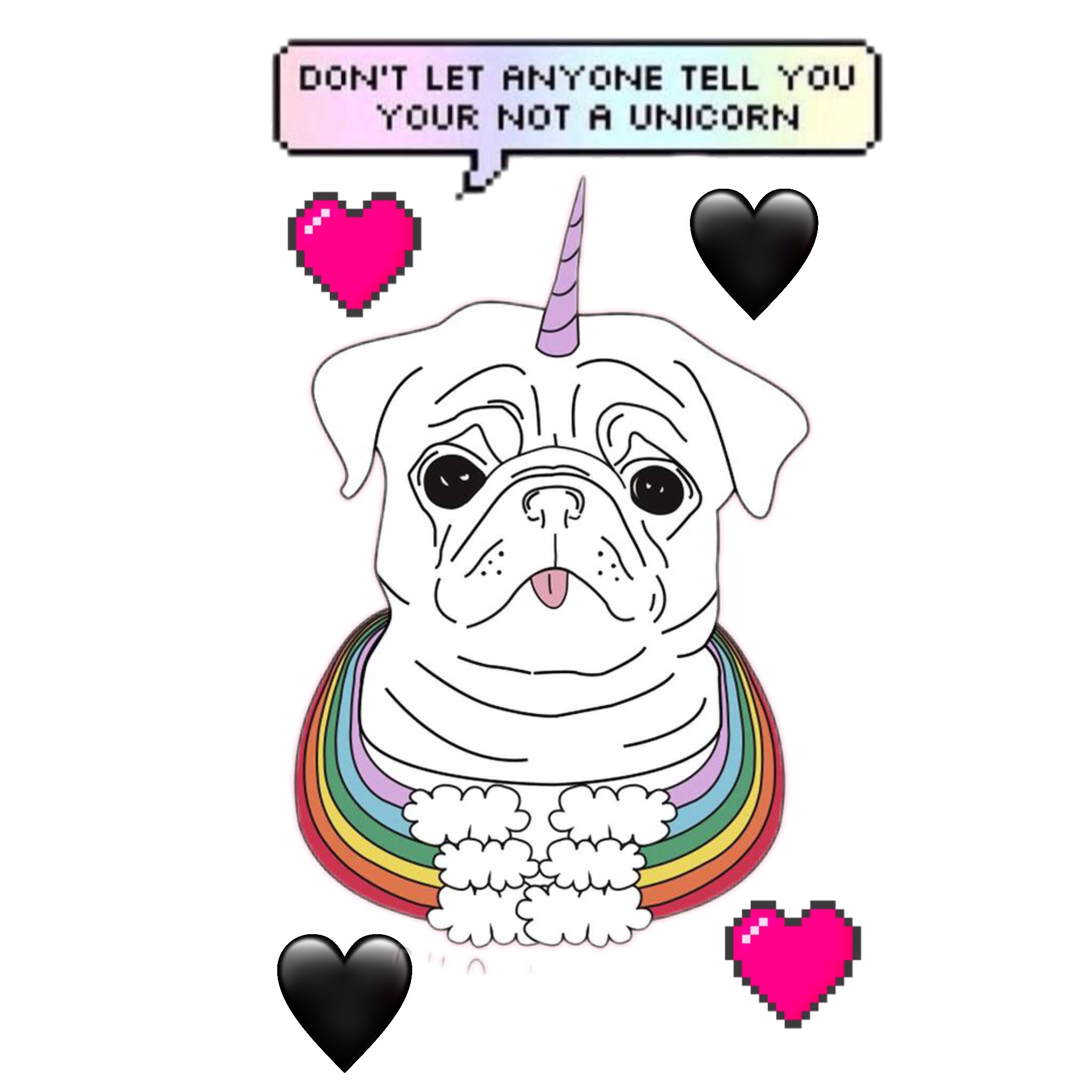 pugicorn teddy