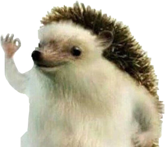 General Chat Forums Official MapleStory 2 site