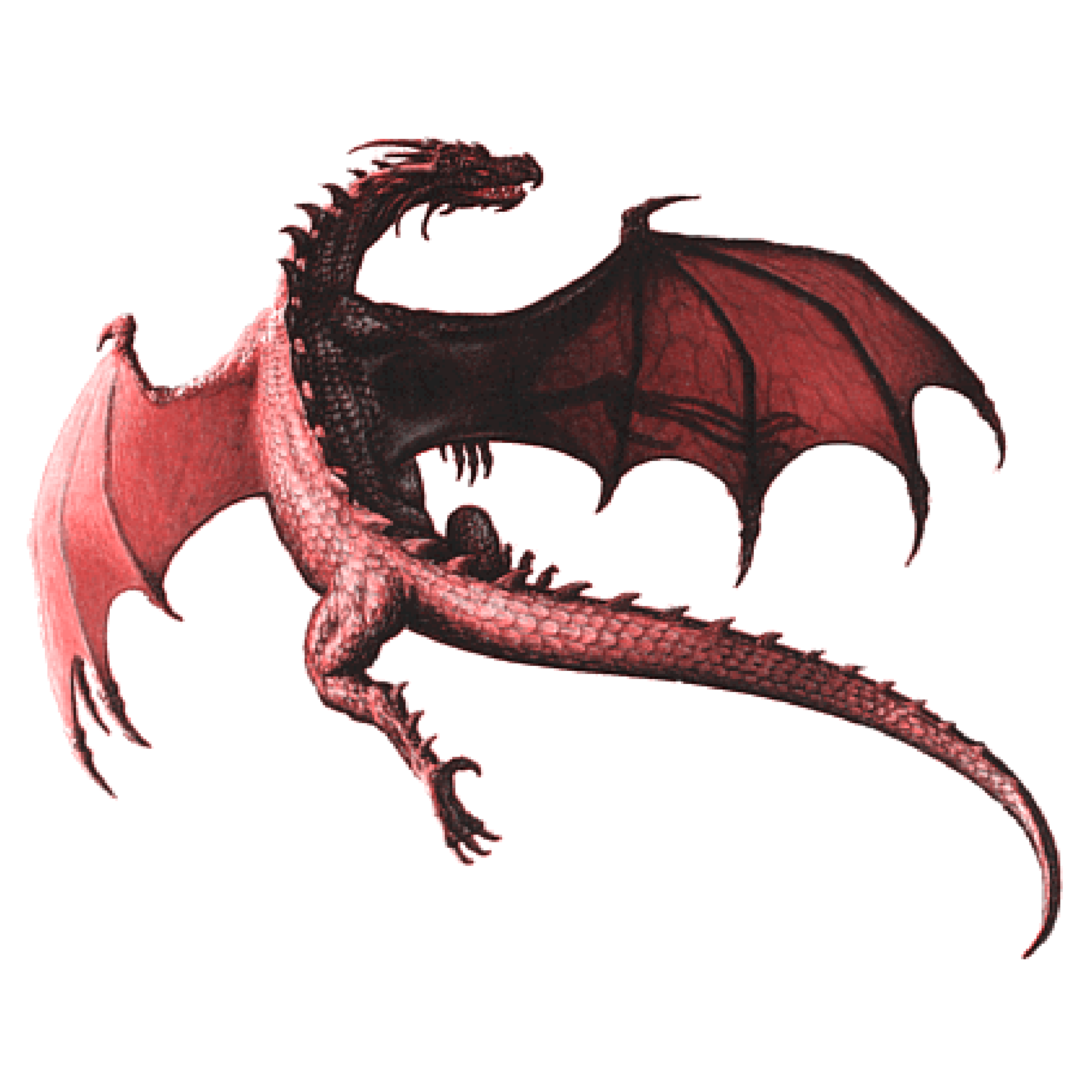 Dragon png. Красный дракон на белом фоне. Дракон на прозрачном фоне. Летящий дракон на прозрачном фоне. Дракон вид сверху.