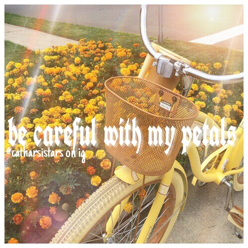 yellow aesthetic bike