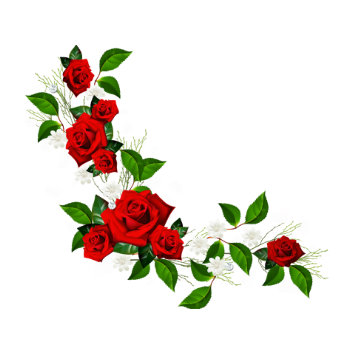 Roses Freetoedit #roses Sticker By @reggie7