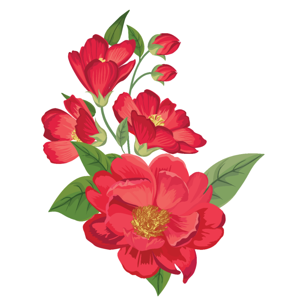 This visual is about red bloom frame flower border freetoedit #red #bloom #...