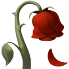 iphone emoji flowers rose