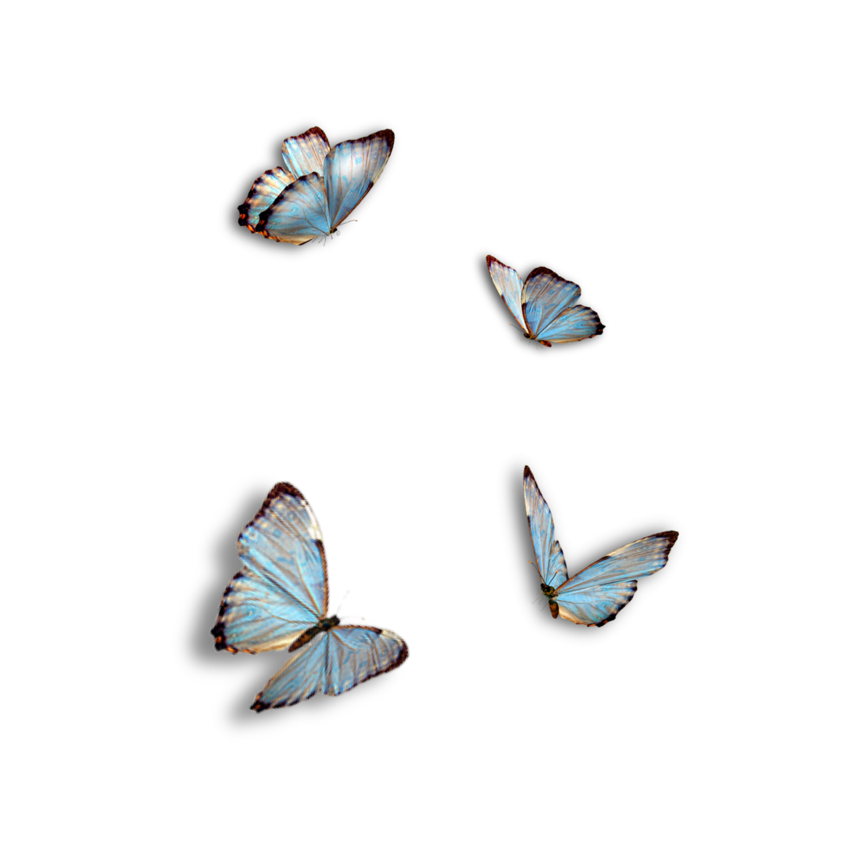 papillon bleu Jardin - Sticker by celiamltx