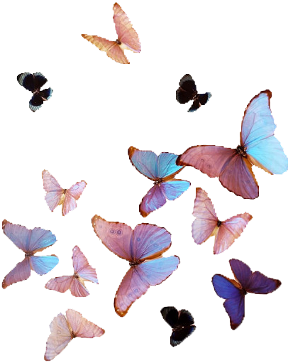 freetoedit scbutterflies butterflies sticker by @sevenyuh