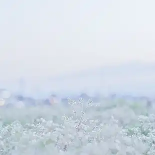 背景 白 花 自然 オシャレ 背景 白 花 自然 Image By Hello Goodbye 背景 白 花 自然 オシャレ 背景 白 花 自然 Image By Hello Goodbye