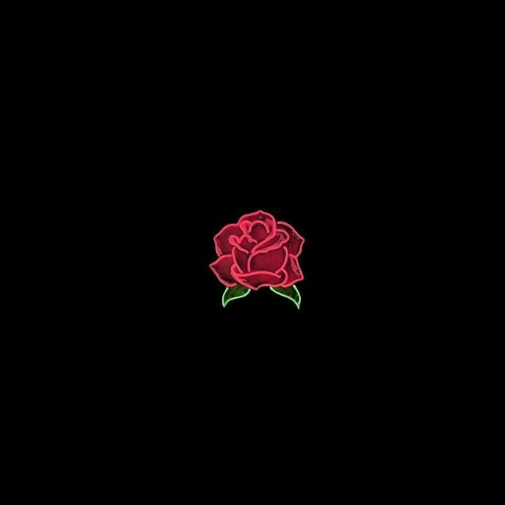 freetoedit rose flower red tumblr image by @isarn_art
