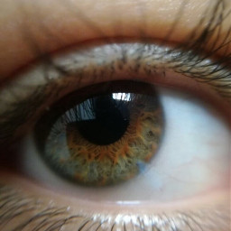 freetoedit brown eye pupil focus