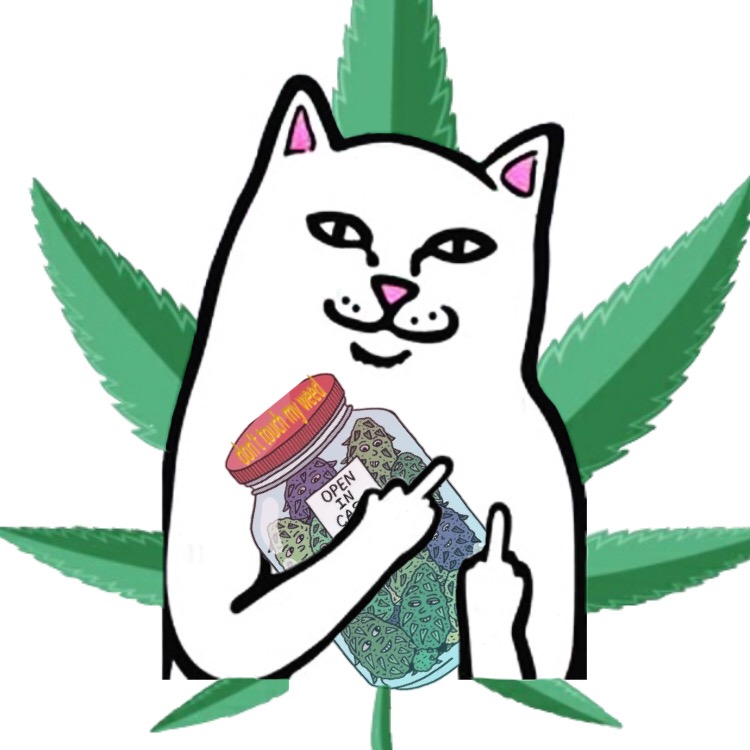 This visual is about lordnermal ripndip dontouchmyweed freetoedit #lordnerm...