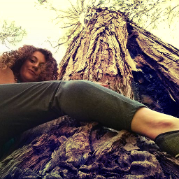selfie trees nature california mountain pctrees