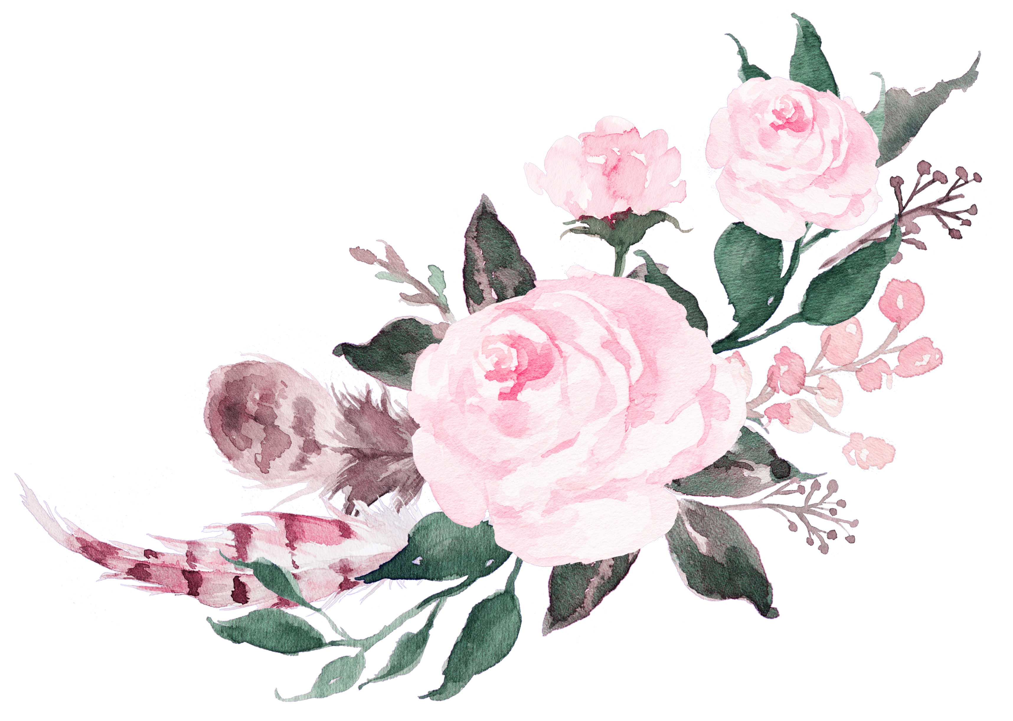 Free Psd Png Transparent Pink Watercolor Flowers Free Png And Psd | Hot ...