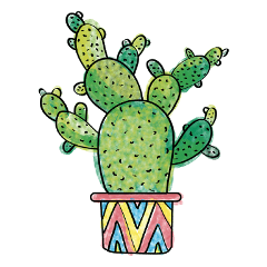 cactus cactos green verde summer freetoedit