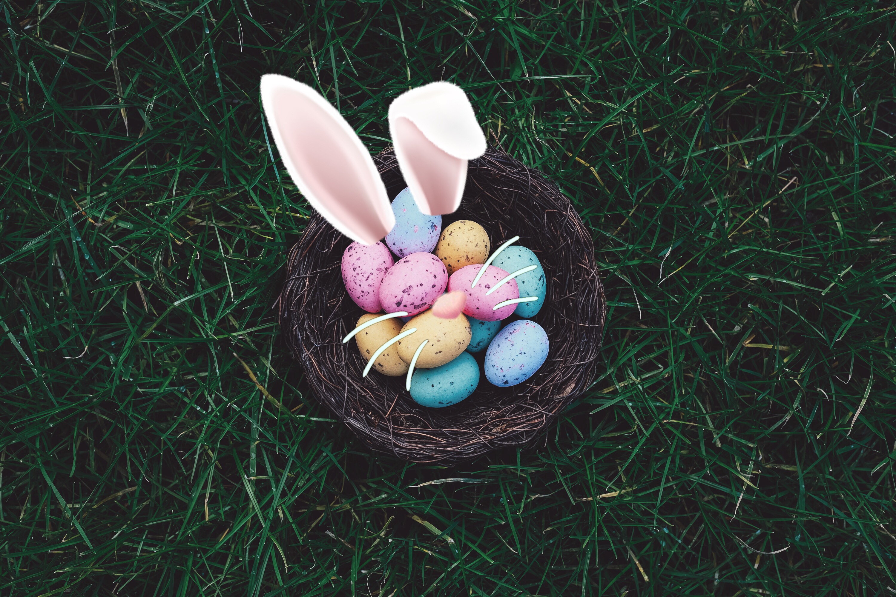 Discover the coolest HAPPY EASTER!!! #bunny #eegs #basket #easter images.