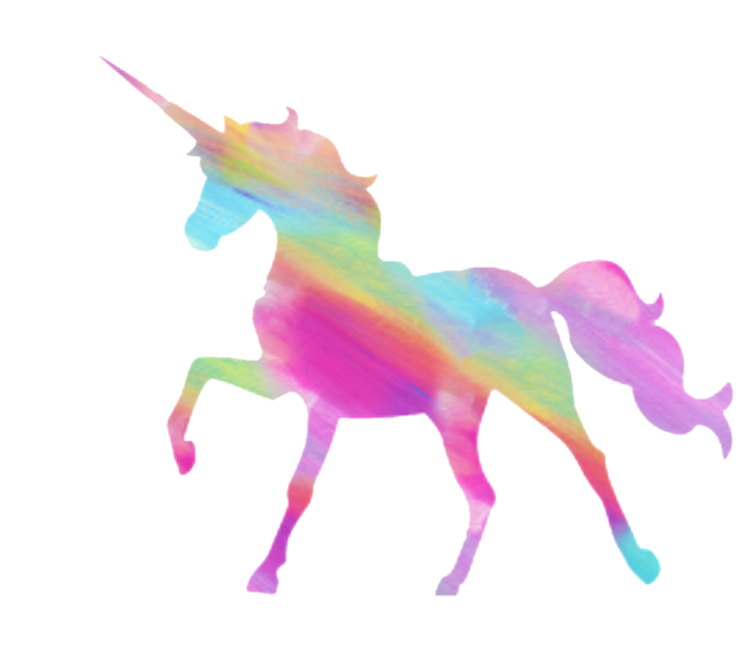 unicorn rainbow iridescent