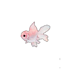 fish pink tumblr cute kawaii freetoedit