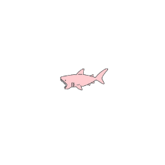 shark pink tumblr cute kawaii freetoedit