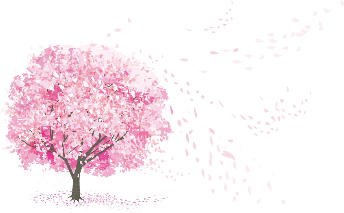 Сакура дерево на белом фоне. Лепесток Сакуры. Розовое дерево. Цветущее дерево на белом фоне. Розовое дерево без листьев
