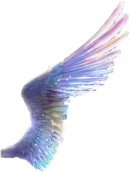 wings wingsoffreedom wingsofanangel colorfulwings stick... - 418 x 555 png 158kB