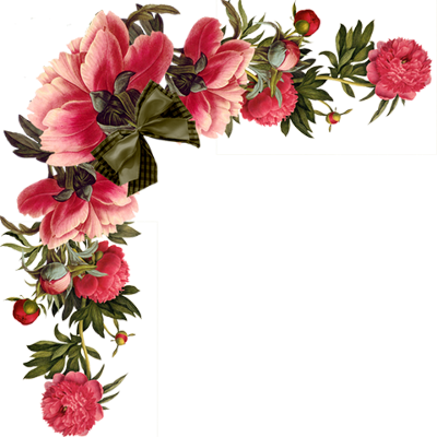 flower flowers rose redrose sticker by @fanxy_child01010