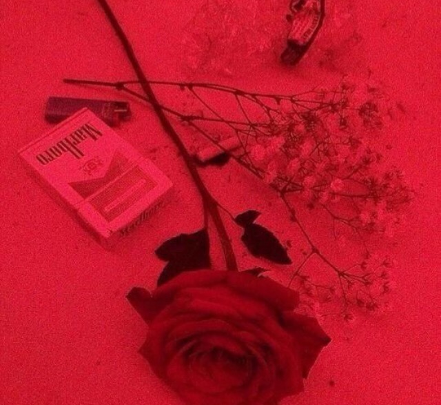 freetoedit rose red aesthetic redaesthetic floor cigare...