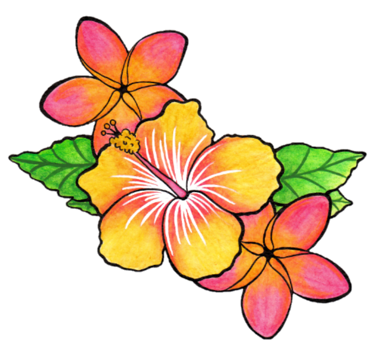 Цветы рисунок. Цветы рисунки цветные. Гавайские цветы. Цветы для срисовки.