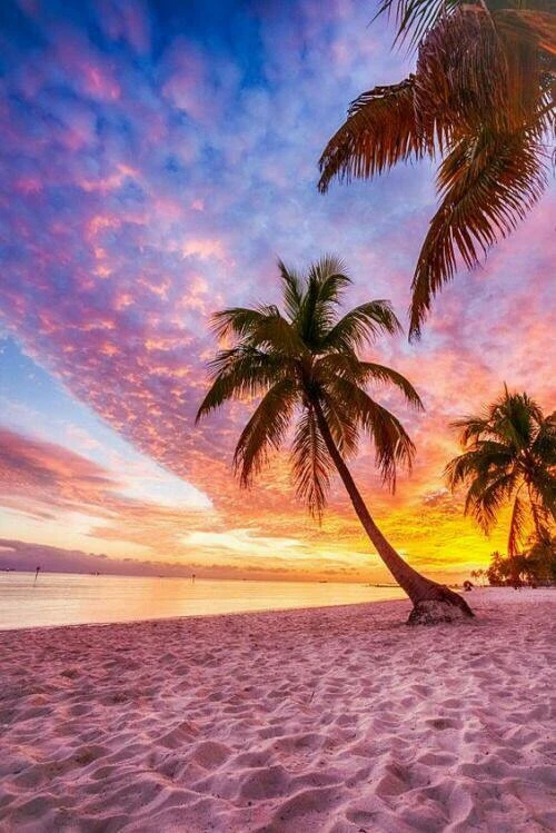 Freetoedit Beach Sunset Beautiful Image By Juvia