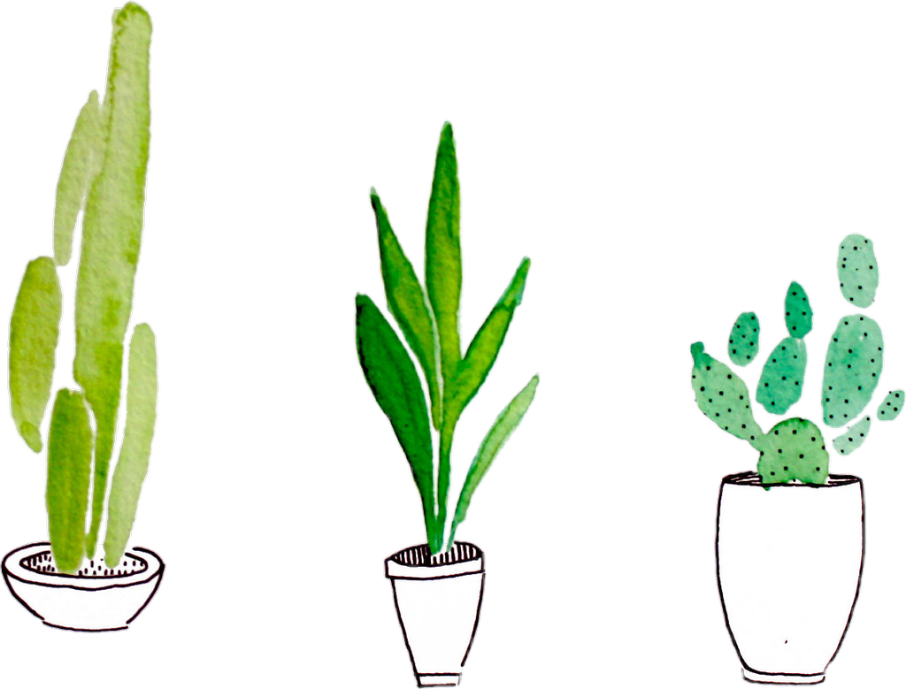 plants tumblr aesthetic sticker by toruu