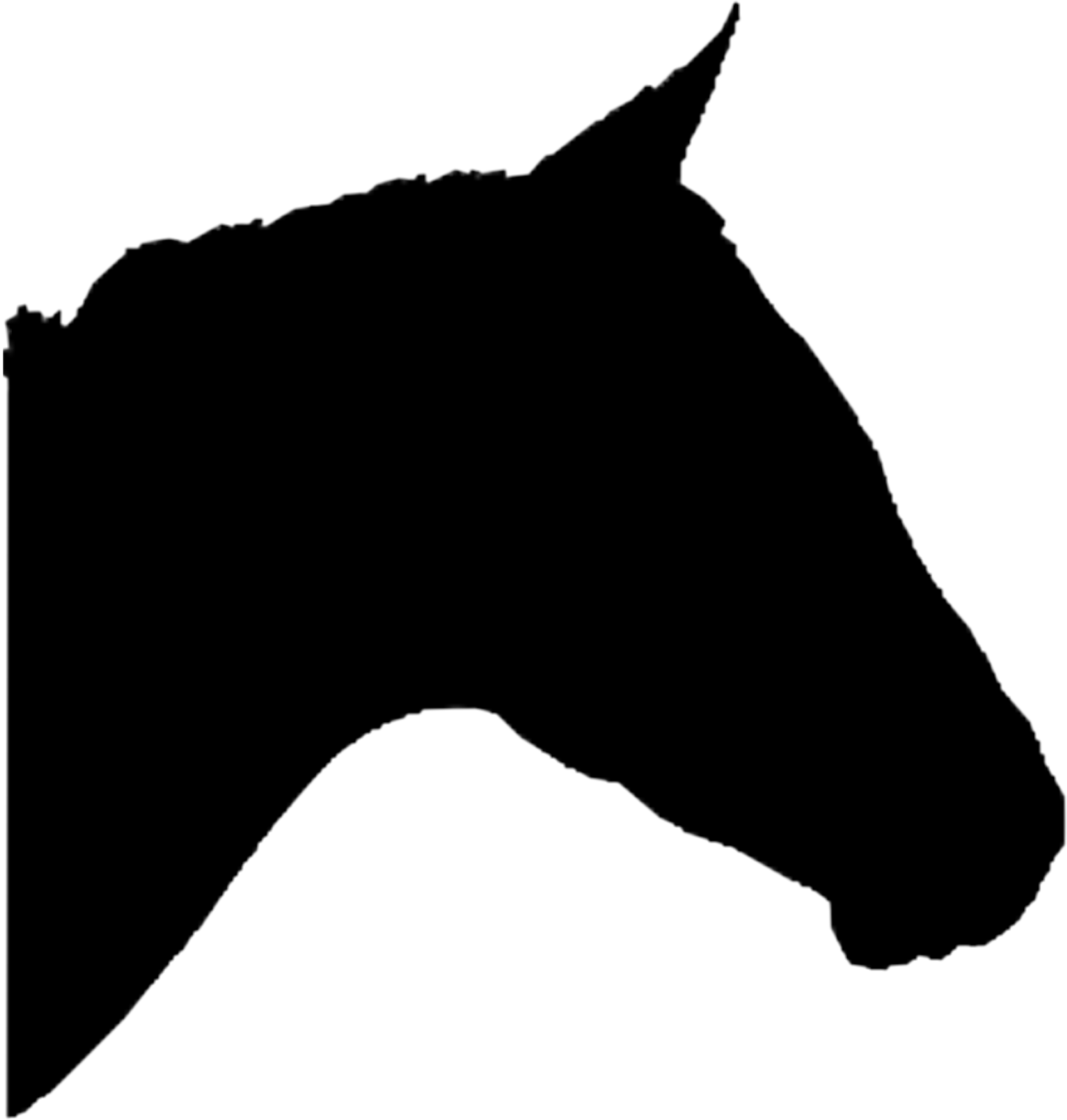 Голова лошади. Силуэт головы лошади. Силуэт лошадиной головы. Голова лошади в профиль.