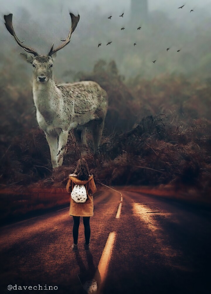  #deer #road #girl #giantanimal @freetoedit @picsart #surreal #surrealist #myedit 