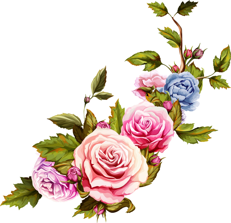 Ftestickers Flower Roses Freetoedit Sticker By Sona