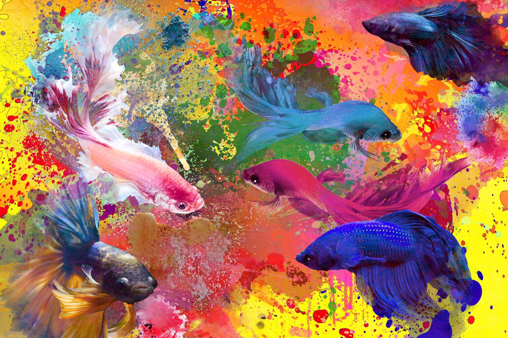 abstract abstractart fish colorful interesting fun art...