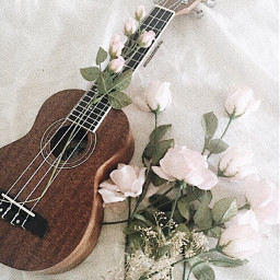 freetoedit background wallpaper guitar rose