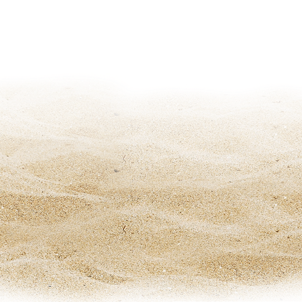 beach sandy ftestickers nature background...
