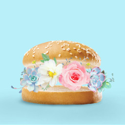 irchamburgerbun hamburgerbun freetoedit burger flowers