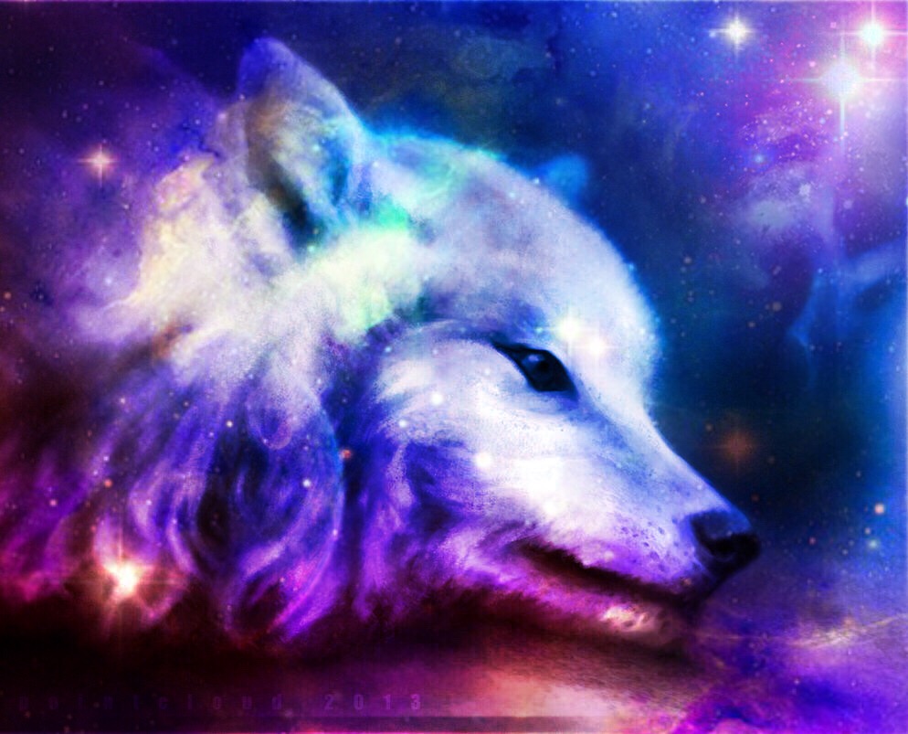 Cute Background Galaxy Wolf Images