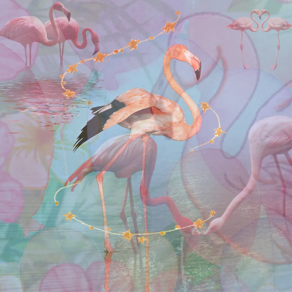 






フラフラフラミンゴ〜ww







#freetoedit
#ircflamingo #flamingo