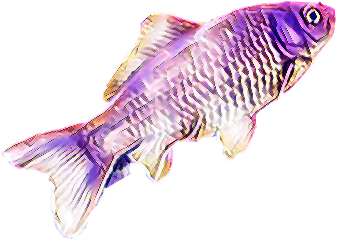 scfish-fish-freetoedit-fish-sticker-by-annabamba