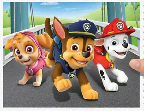 paw patrol chase skye
