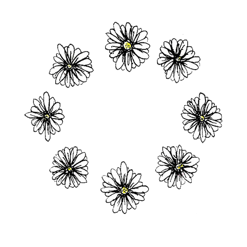 Circle Daisy Daisies Flowers