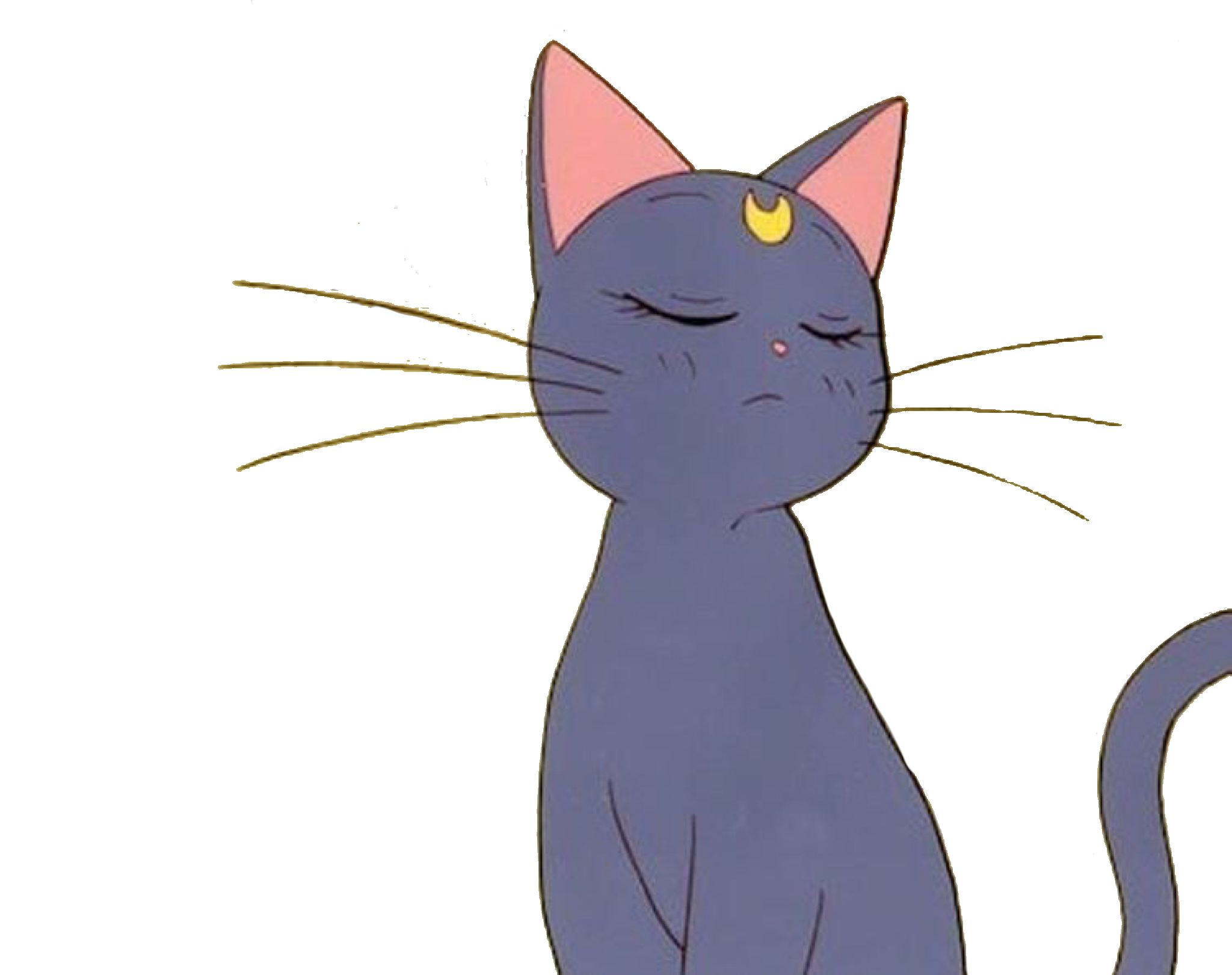 Anime Cat Sailormoon Aesthetic Tumblr Sticker By Urmumuwu 