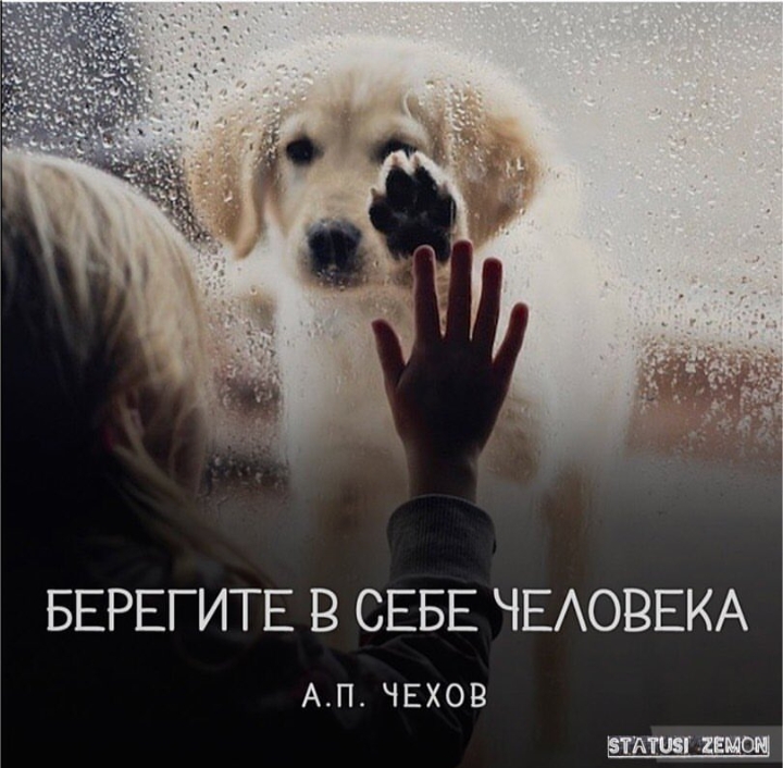 Новому году, картинка с надписью берегите в себе человека