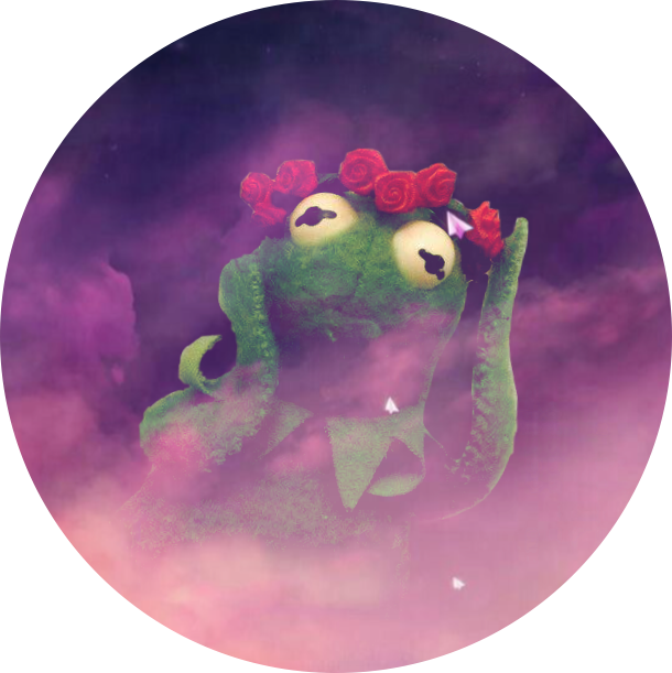 kermit galaxy flowercrown freetoedit sticker by @amelia10675