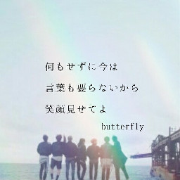 bts butterfly