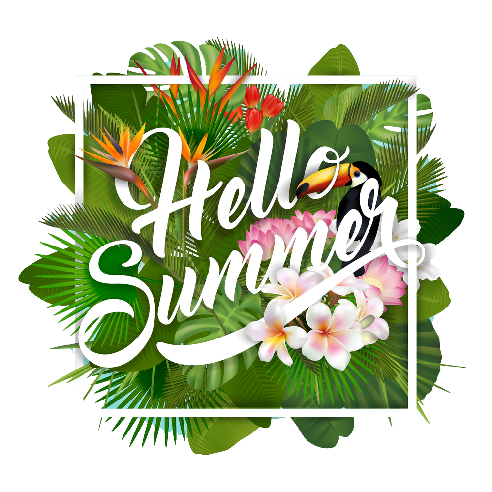 Hello summer картинки