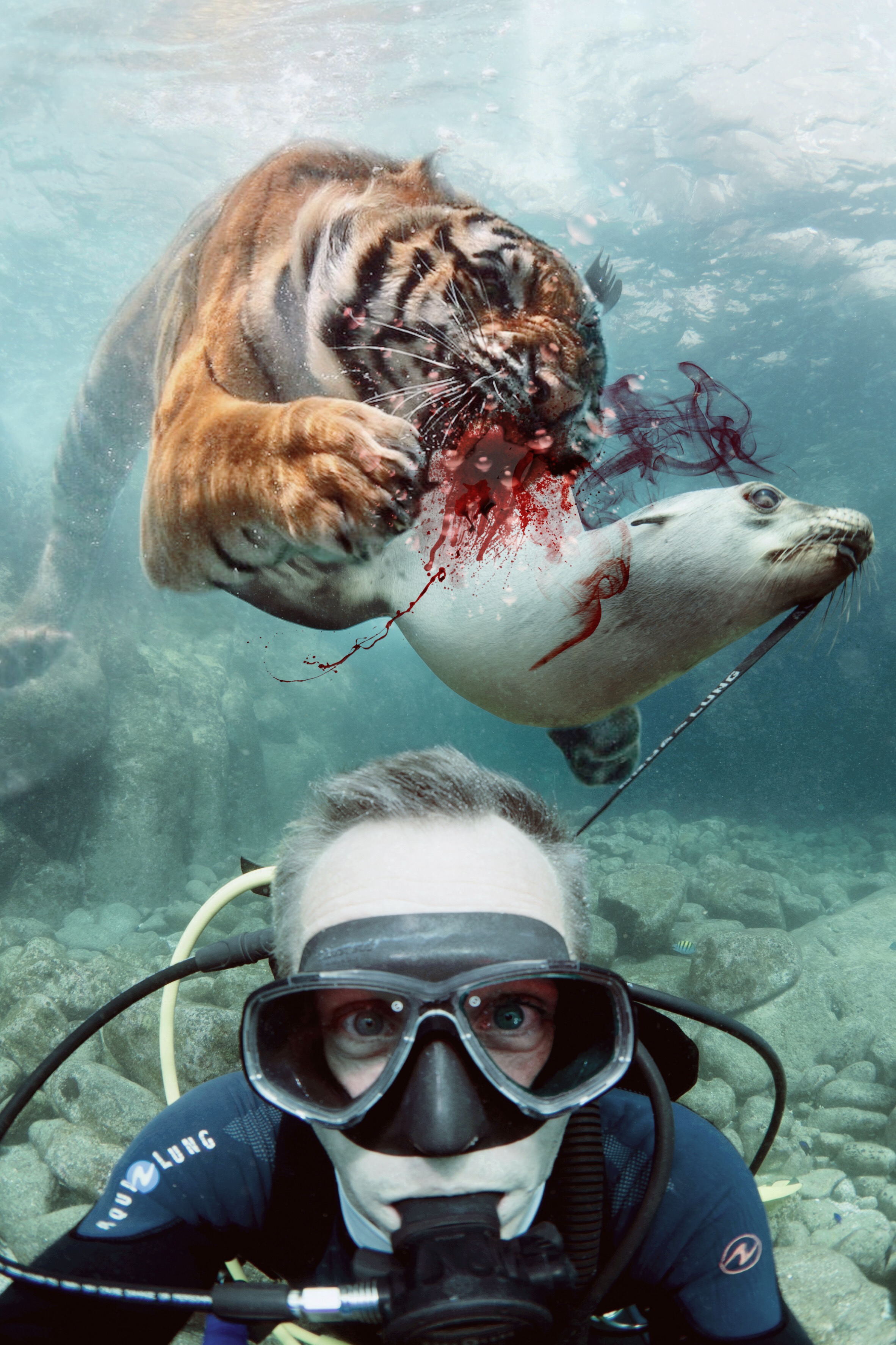 tiger underwater